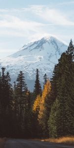 Nature,Mountains,Road,Forest