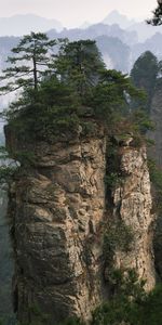 Végétation,Conifères,Hauts,Conifère,Sommet,Hauteur,Les Rochers,Brouillard,Nature,Roches,Arbres,Montagnes