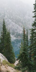 Nature,Mountains,Rocks,Lake,Fir,Spruce,Fog