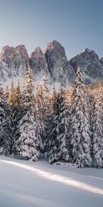 Nature,Roches,Épicéa,Sapin,Couvert De Neige,Snowbound,Montagnes,Les Rochers,Neige