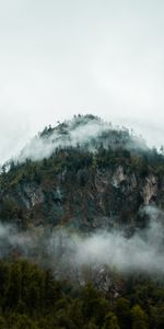 Nature,Mountains,Rocks,Vertex,Top,Forest,Fog