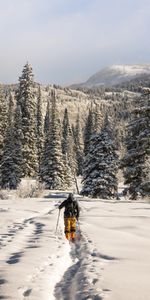 Invierno,Montañas,Nieve,Esquiador,Naturaleza