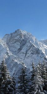 Nieve,Comió,Ato,Grandeza,Naturaleza,Montañas