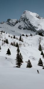 Nature,Mountains,Snow,Rocks,Spruce,Fir,Snow Covered,Snowbound,Trees