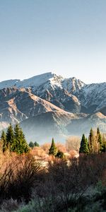 Montagnes,Neige,Sommet,Épicéa,Sapin,Hauts,Nature,Arbres