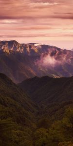 Naturaleza,Montañas,Nubes,Abeto