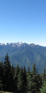 Nature,Mountains,Spruce,Fir,Dahl,Trees,Forest,Distance