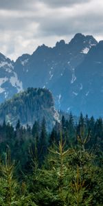 Naturaleza,Montañas,Polonia,Tatras