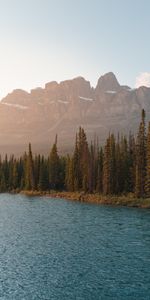 Roches,Épicéa,Sapin,Arbres,Les Rochers,Nature,Montagnes,Lac