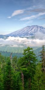 Árboles,Montañas,Niebla,Ee Uu,Washington,Naturaleza,Estados Unidos,Hdr