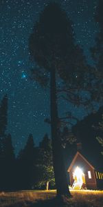 Nature,Night,Forest,Starry Sky,Lodge,Small House