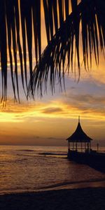 Nature,Palm,Branches,Evening,Alcove,Bower,Sea,Pier