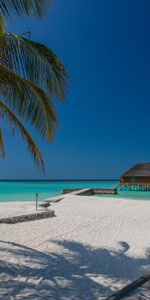 Nature,Palm,Bungalow,Tropics,Sand,Beach