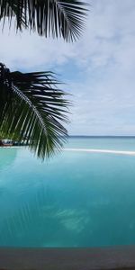 Nature,Mare,Piscine,Palms,Tropiques