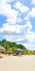 Naturaleza,Arena,Palms,Playa,Zona Tropical,Trópico