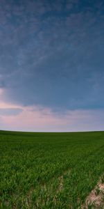 Nature,Panorama,Country,Countryside,Road,Field,Crops