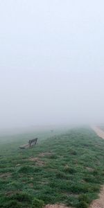 Nature,Path,Trail,Haze,Road,Bench,Fog