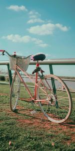 Nature,Pink,Miscellanea,Basket,Miscellaneous,Bicycle,Bike