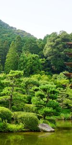 Árboles,Yamaguchi,Naturaleza,Estanque,Japón