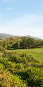 Un Train,Nature,Chemin De Fer,Train