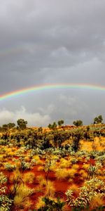 Naturaleza,Arena,Arco Iris,Vegetación,Arbustos,Salvaje Oeste