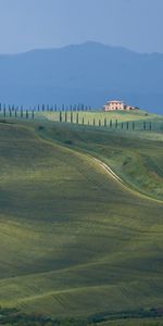 Soulagement,Relief,Domaine,Les Collines,Collines,Nature,Champ,Paysage