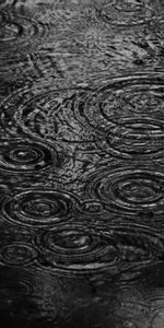 Nature,Ripples,Ripple,Water,Drops,Divorces