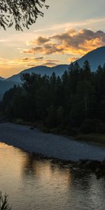 Nature,Rivers,Branches,Spruce,Fir,Hills