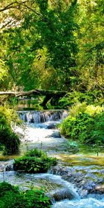 Verano,Bosque,Flujo,Corriente,Sombras,Brillantemente,Matorral,Matorrales,Naturaleza,Ríos,Cascadas,Fluir,Contraste,Oscuridad