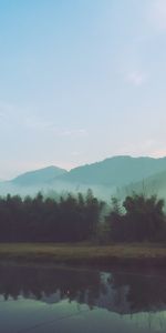 Brouillard,Matin,Nature,Rivières