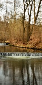 Nature,Forêt,Rivières