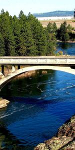 Nature,Rivers,Forest,Bridge,Trees