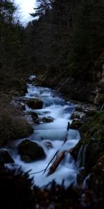 Nature,Rivers,Forest,Creek,Brook,Trees,Stones