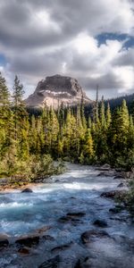 Forêt,Nature,Montagnes,Couler,Ruisseau,Rivières