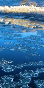 Naturaleza,Hielo,Bosque,Helada,Bultos,Ribera,Las Orillas,Bloques,Ríos,Escarcha