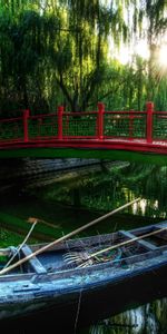 Forêt,Pagaies,Rames,Nature,Un Bateau,Rivières,Pont,Végétation,Bateau,Chine