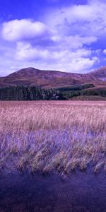 Nature,Rivers,Grass,Hills