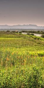 Nature,Rivers,Grass,Lake,Valencia,Spain,Landscape