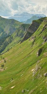 Naturaleza,Ríos,Árboles,Hierba,Montaña,Arriba,Vértice