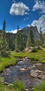 Nature,Rivers,Grass,Rock,Mountain,Spruce,Fir,Trees