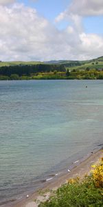 Nature,Rivers,Grass,Sky,Shore,Bank