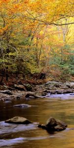 Nature,Rivières,Paysage