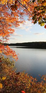 Nature,Rivers,Landscape