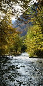 Nature,Rivers,Mountain,Trees,Landscape