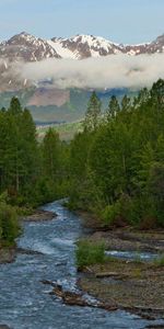 Nature,Rivers,Mountains,Clouds,Forest,Gurgling,Murmur,Fog