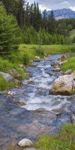 Nature,Montagnes,Forêt,Légumes Verts,Rivières,Verdure,Ruisseau,Couler