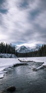 Neige,Forêt,Montagnes,Rivières,Nature