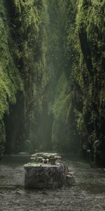 Nature,Rivers,Rocks,Moss,Stump,Gorge,Mashrooms