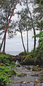 Nature,Rivers,Sea,Vegetation,Island,Mainly Cloudy,Overcast,Tropics