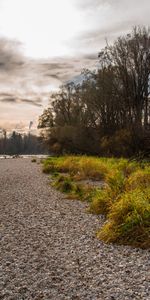 Naturaleza,Agua,Ríos,Árboles,Orilla,Banco